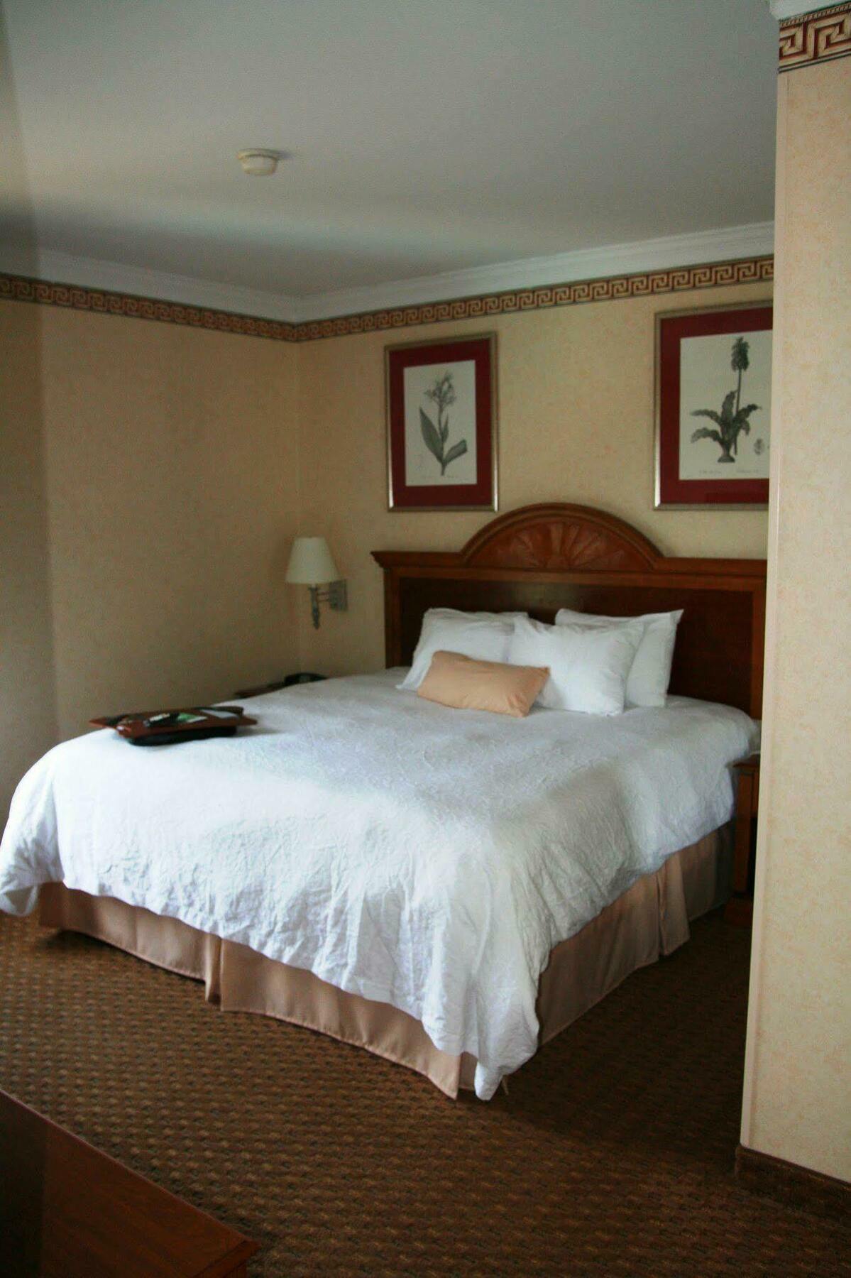 נורת' צ'רלסטון Hampton Inn Charleston North חדר תמונה